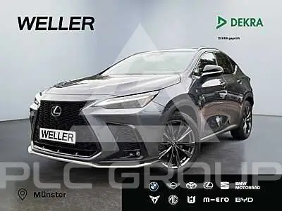 2023 Lexus NX