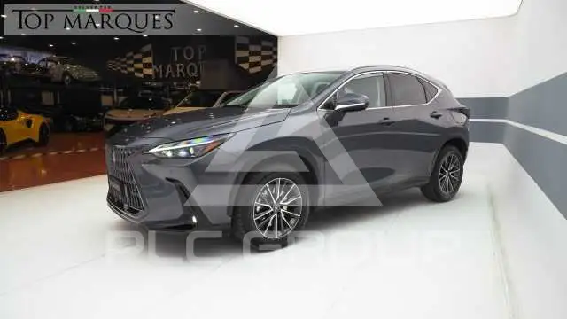 2023 Lexus NX