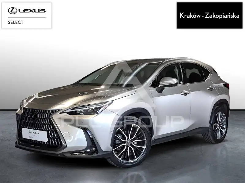 2023 Lexus NX