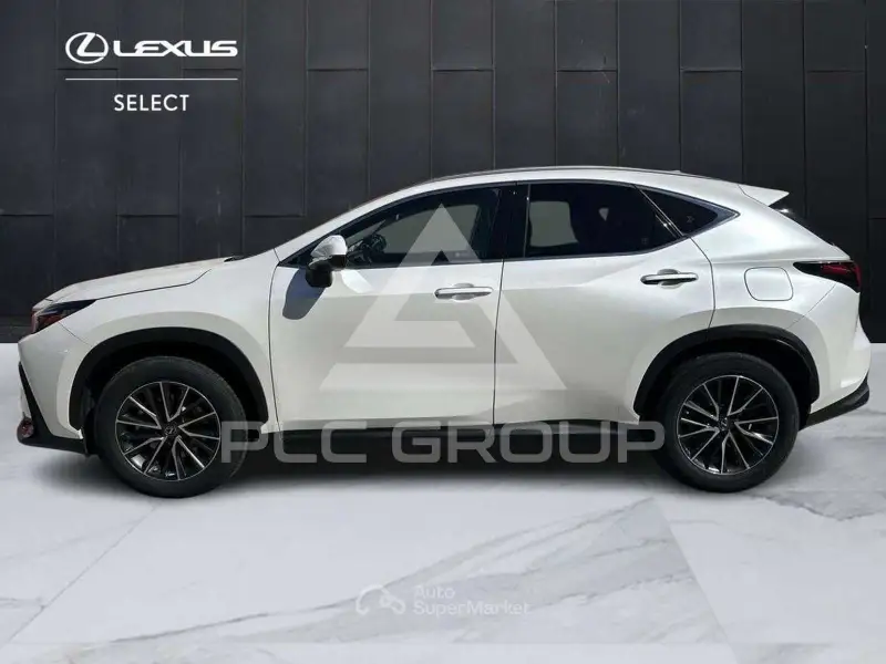 2023 Lexus NX