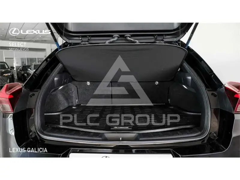2023 Lexus UX