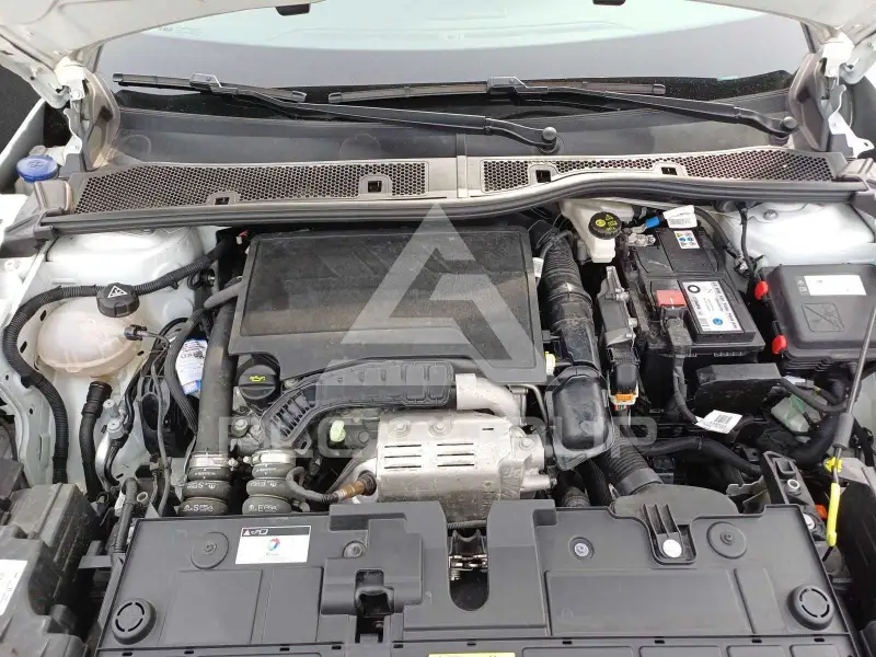 2023 Citroen C4