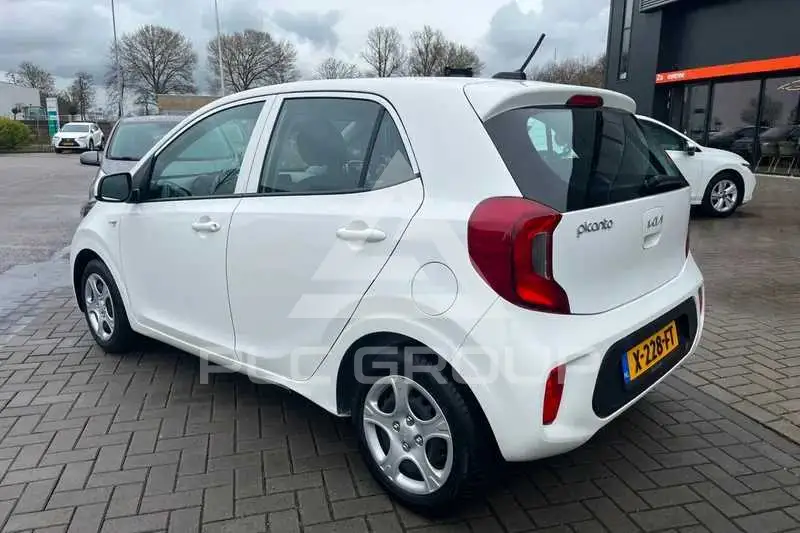 2023 KIA Picanto