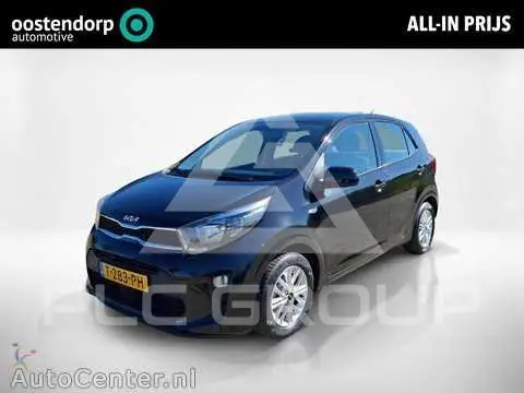 2023 KIA Picanto