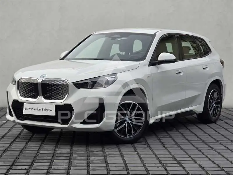 2024 BMW iX
