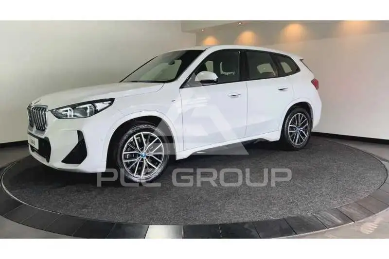2024 BMW iX