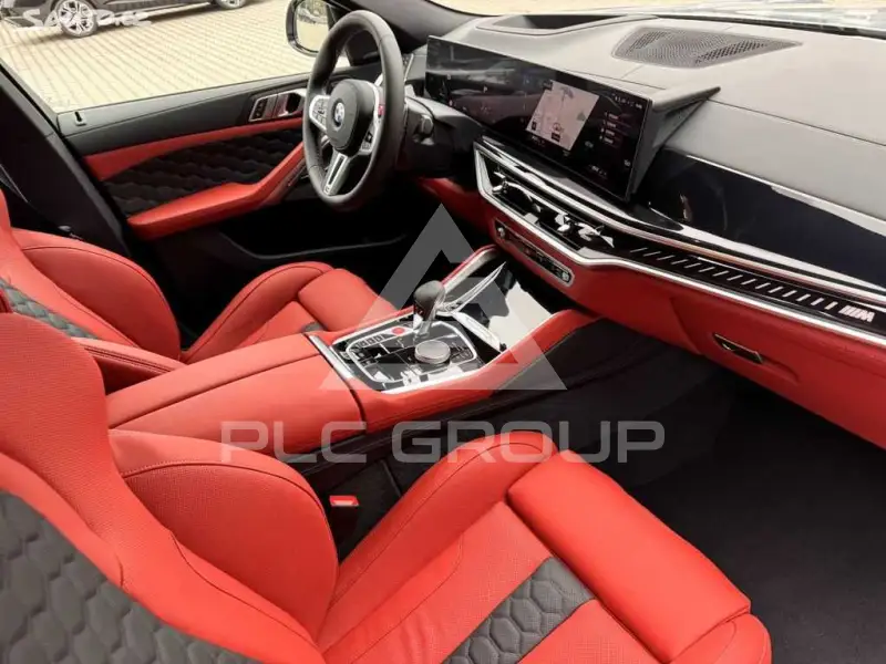 2024 BMW X6