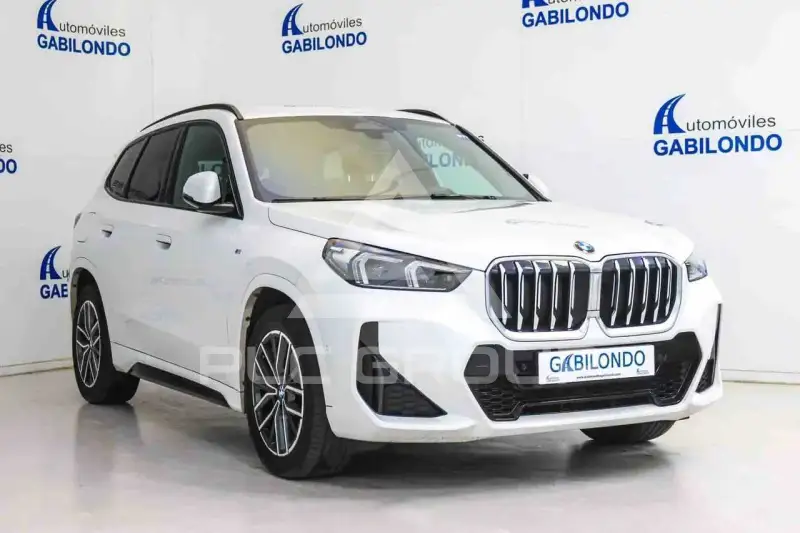 2024 BMW X1