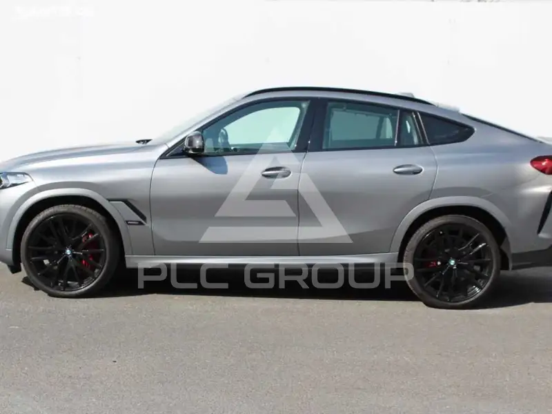 2024 BMW X6