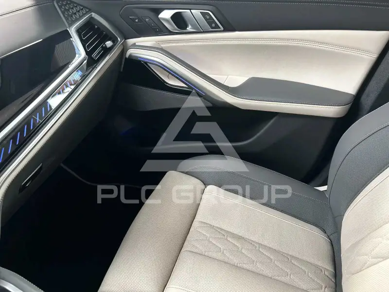 2024 BMW X6