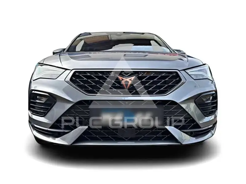 2024 Cupra Other