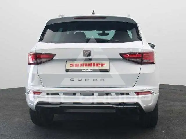 2024 Cupra Other