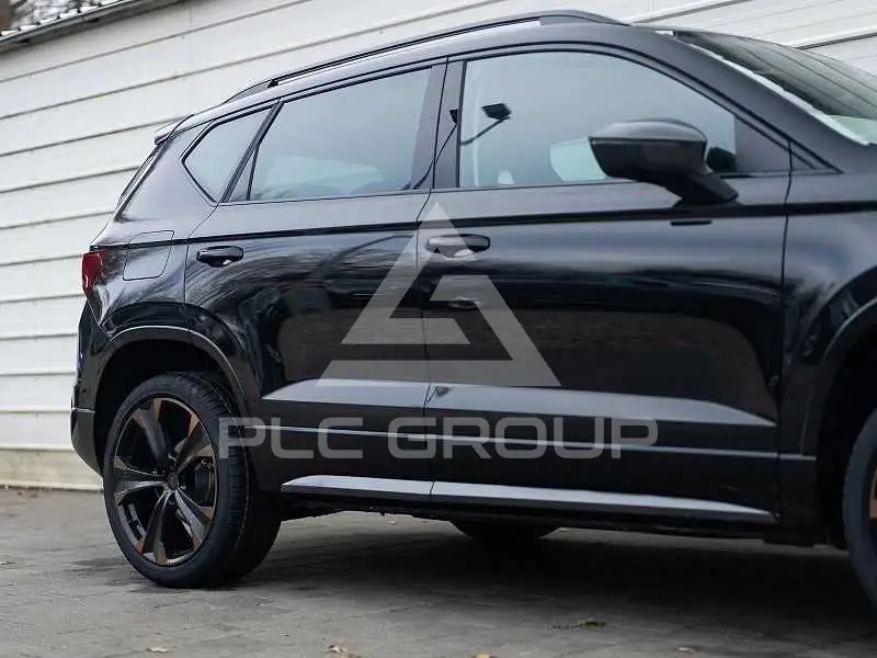 2024 Cupra Other