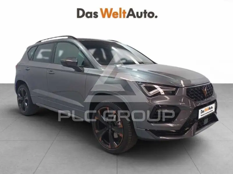 2024 Cupra Other