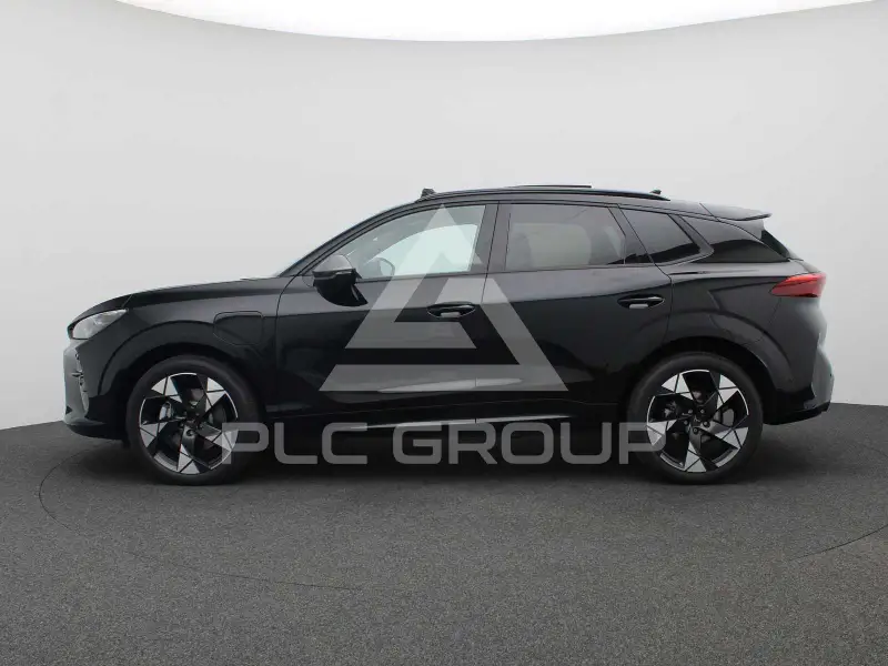 2024 Cupra Other