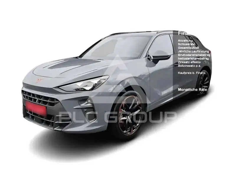 2024 Cupra Other
