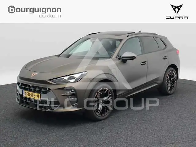 2024 Cupra Other