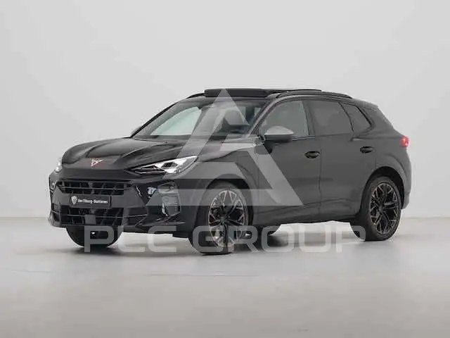 2024 Cupra Other