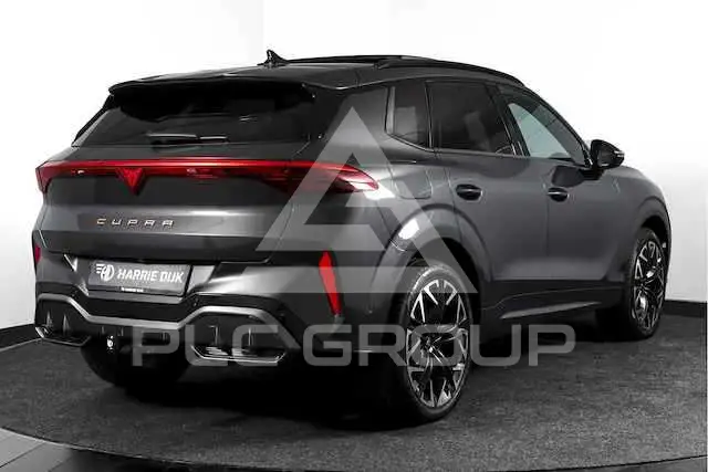 2024 Cupra Other