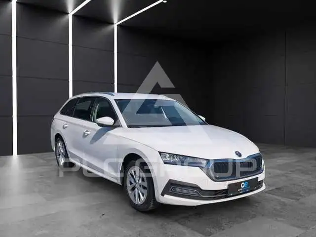 2024 Skoda Octavia
