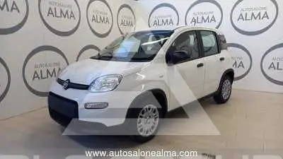 2024 Fiat Panda