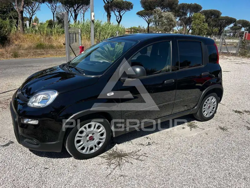 2024 Fiat Panda
