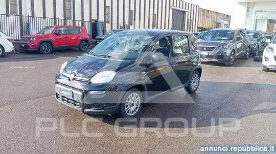 2024 Fiat Panda