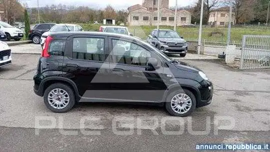 2024 Fiat Panda