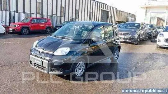 2024 Fiat Panda