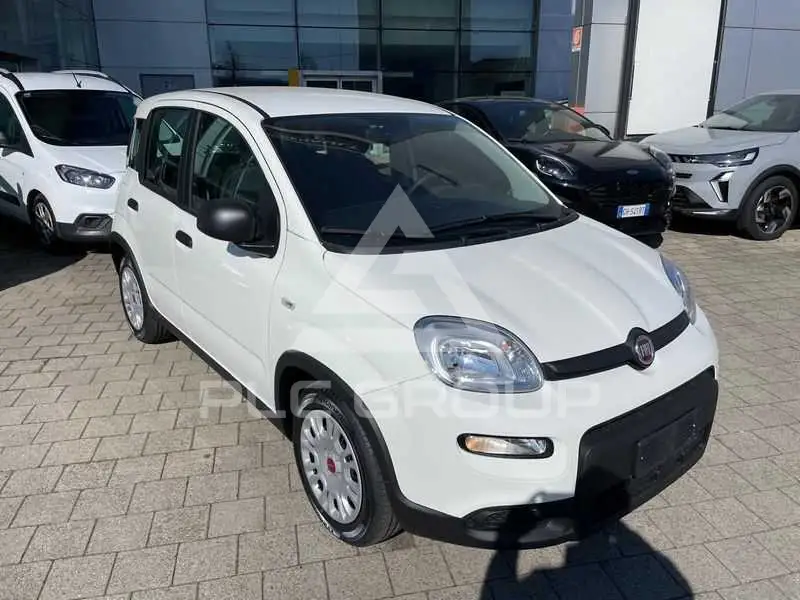 2024 Fiat Panda