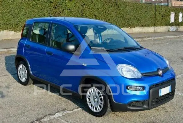 2024 Fiat Panda