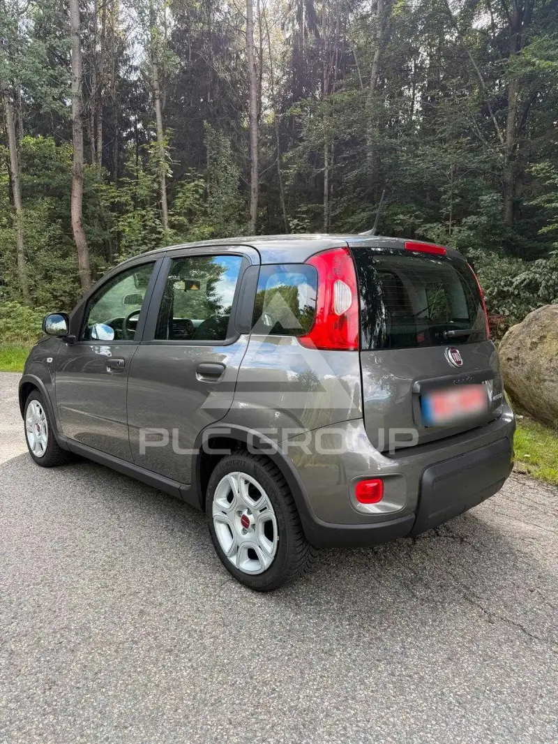 2024 Fiat Panda