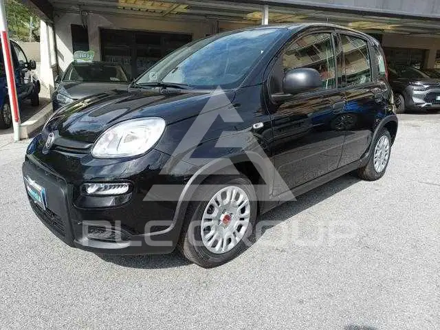 2024 Fiat Panda