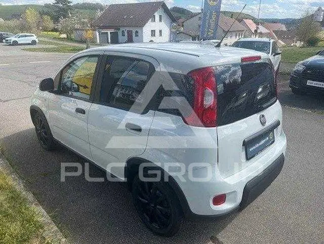 2024 Fiat Panda