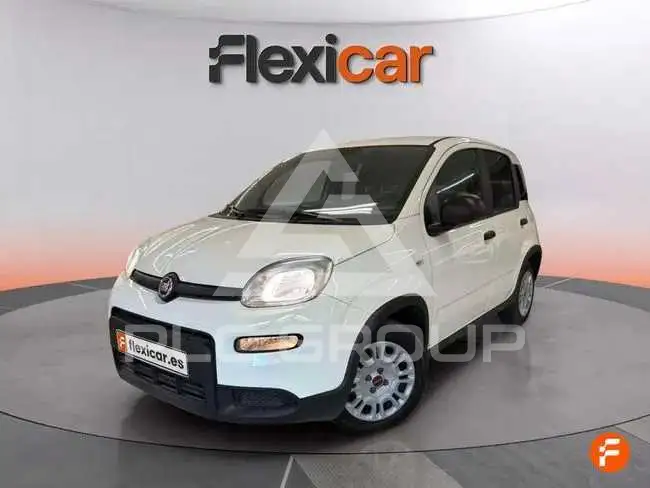 2024 Fiat Panda