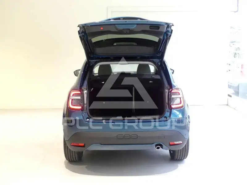 2024 Fiat 600