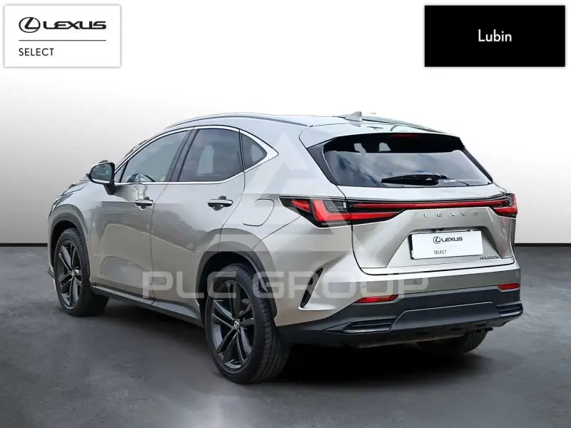 2024 Lexus NX