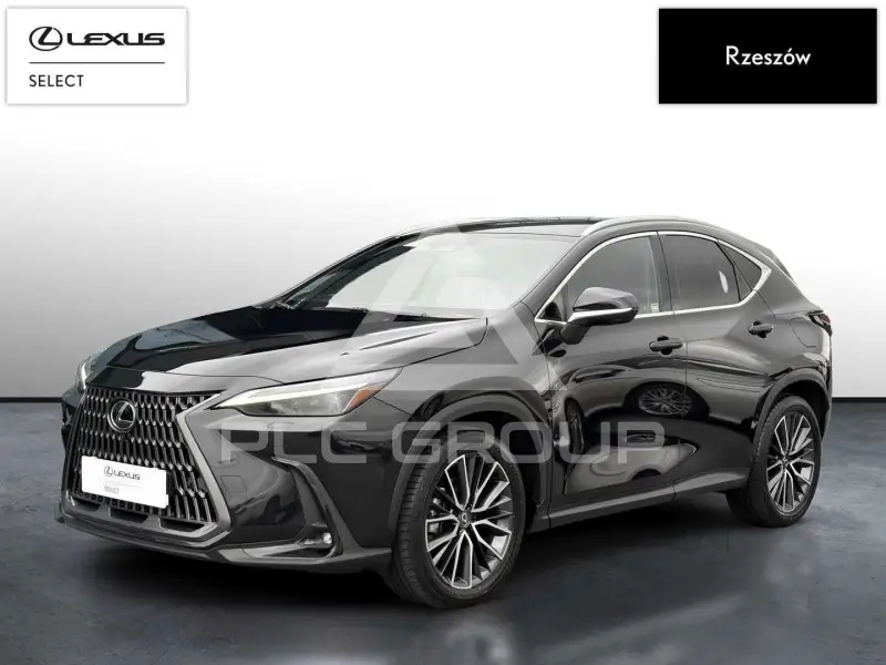 2024 Lexus NX