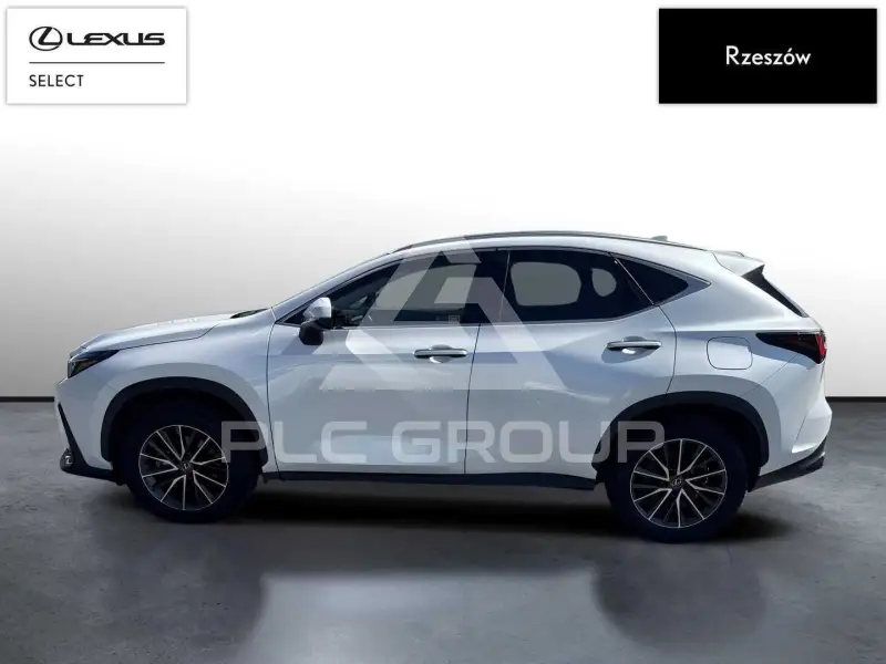 2024 Lexus NX