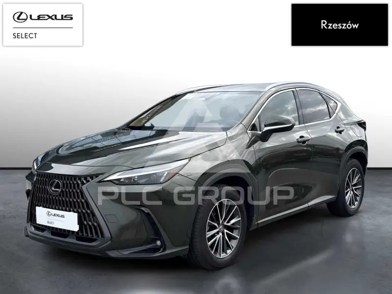 2024 Lexus NX