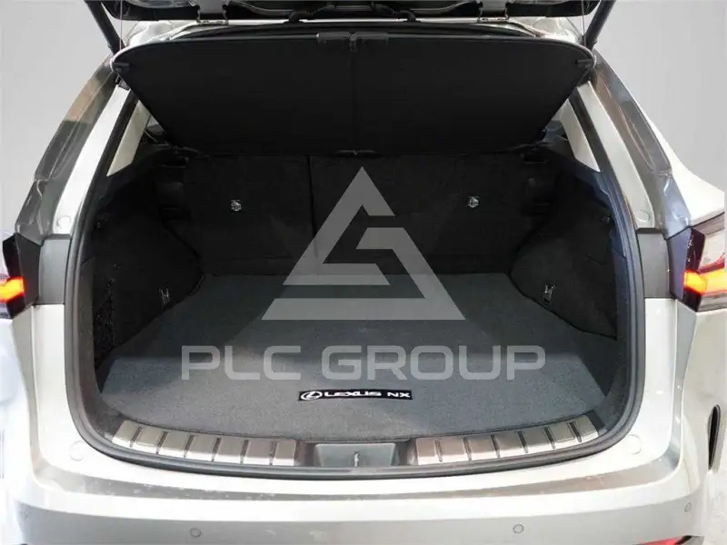 2024 Lexus NX
