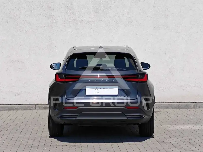 2024 Lexus NX