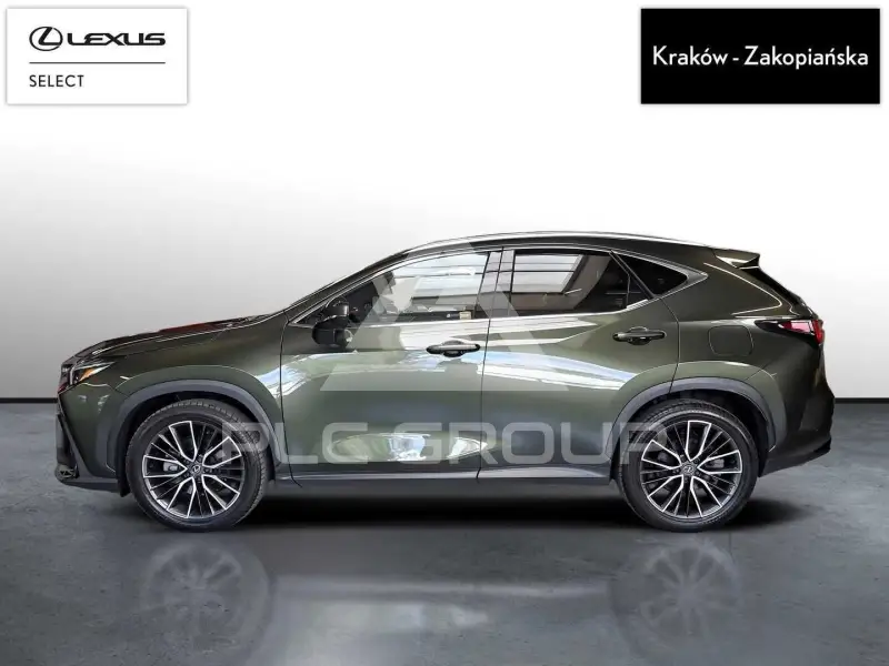 2024 Lexus NX