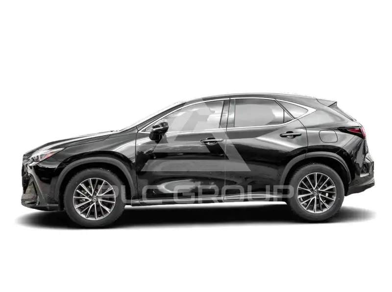 2024 Lexus NX