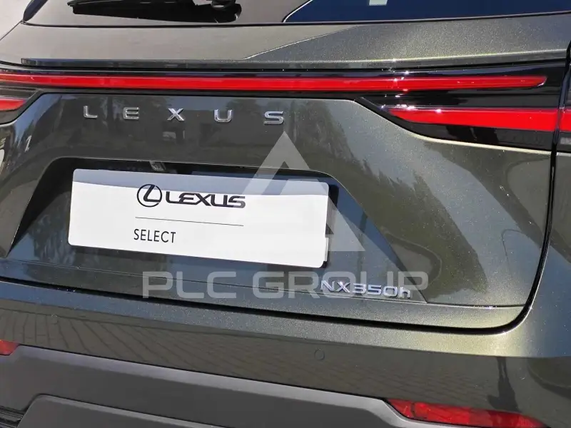 2024 Lexus NX
