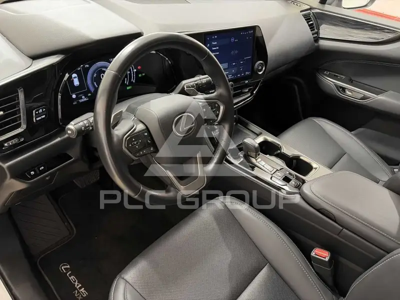 2024 Lexus NX