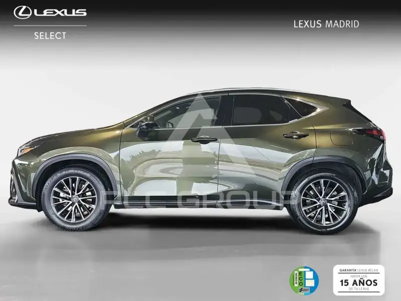 2024 Lexus NX