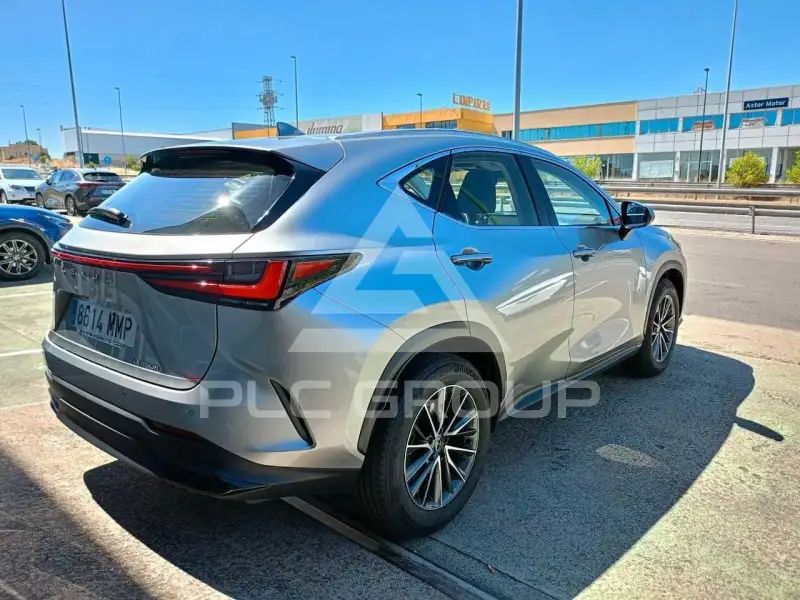 2024 Lexus NX