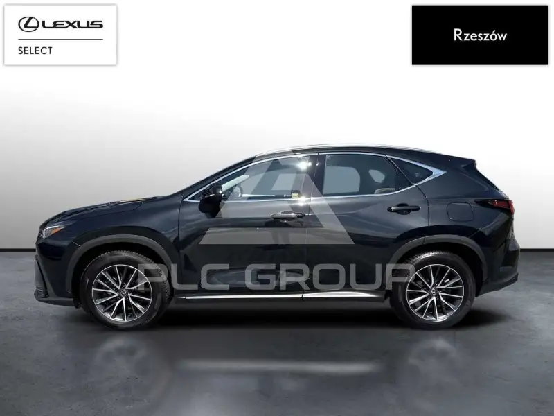 2024 Lexus NX