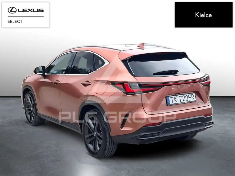 2024 Lexus NX